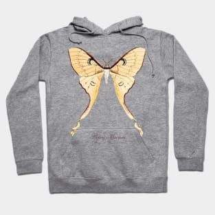 Moth - Malaysian Moon Moth, Actias Maenas Leto female  3 Hoodie